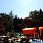 drouwenerzand-26-05-2018-0025.jpg