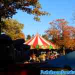 drouwenerzand-14-10-2018-0016.jpg