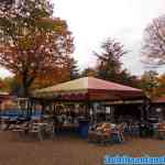 drouwenerzand-26-10-2020-090.jpg