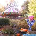 drouwenerzand-24-10-2021-026.jpg