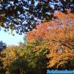 drouwenerzand-24-10-2021-060.jpg
