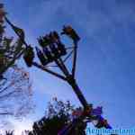 drouwenerzand-29-10-2021-072.jpg