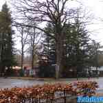 drouwenerzand-15-01-2022-072.jpg