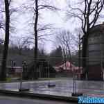drouwenerzand-15-01-2022-089.jpg