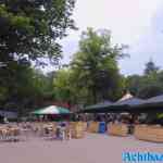 drouwenerzand-19-06-2022-001.jpg
