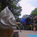 drouwenerzand-19-06-2022-004.jpg