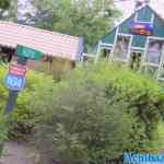 drouwenerzand-19-06-2022-036.jpg
