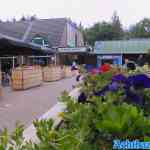 drouwenerzand-19-06-2022-044.jpg