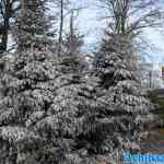 efteling-01-01-2023-053.jpg