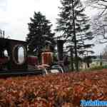 efteling-01-01-2023-182.jpg