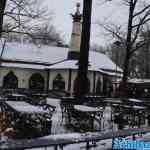 efteling-21-01-2023-030.jpg