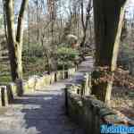 efteling-26-02-2023-251.jpg