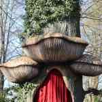 efteling-26-02-2023-266.jpg