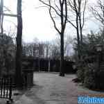 efteling-24-03-2023-012.jpg