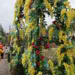 efteling-25-08-2023-072.jpg