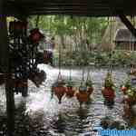 efteling-18-10-2023-121.jpg