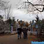 efteling-23-11-2023-035.jpg