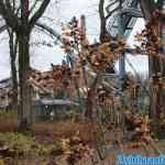 efteling-27-12-2023-033.jpg