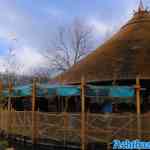 efteling-29-01-2022-115.jpg