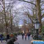 efteling-29-01-2022-252.jpg