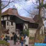 efteling-29-01-2022-263.jpg