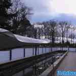 efteling-29-01-2022-284.jpg