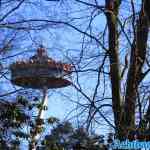 efteling-23-02-2022-039.jpg