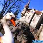 efteling-23-02-2022-081.jpg