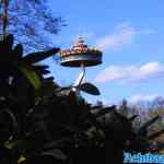 efteling-23-02-2022-138.jpg