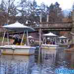 efteling-23-02-2022-208.jpg