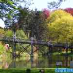 efteling-28-04-2022-021.jpg