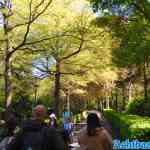 efteling-28-04-2022-024.jpg