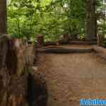 efteling-28-08-2022-501.jpg