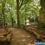 efteling-28-08-2022-505.jpg