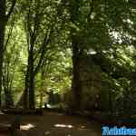 efteling-28-08-2022-509.jpg