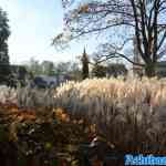 efteling-13-11-2022-014.jpg