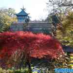 efteling-13-11-2022-214.jpg