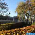 efteling-13-11-2022-267.jpg