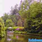 efteling-05-06-2021-090.jpg