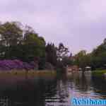 efteling-05-06-2021-113.jpg