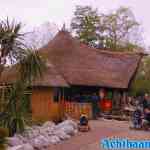 efteling-05-06-2021-120.jpg