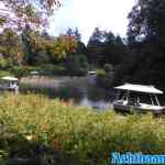 efteling-31-08-2021-038.jpg