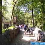 efteling-31-08-2021-083.jpg