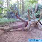 efteling-31-08-2021-089.jpg