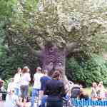 efteling-31-08-2021-119.jpg