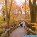 efteling-17-11-2021-017.jpg