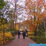 efteling-17-11-2021-022.jpg