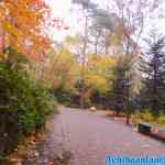 efteling-17-11-2021-038.jpg