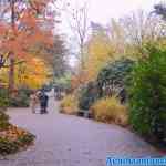 efteling-17-11-2021-064.jpg