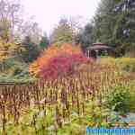 efteling-17-11-2021-067.jpg